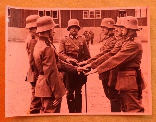   Original-Fotografie Waffen-SS bei der Vereidigung wohl Raum Helbronn 