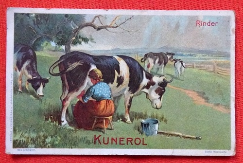   Reklamebild /  Kaufmannsbild / Sammelbild / Kaufmannsbild KUNEROL (hier Kunerona Margarine) (3 Bilder der Reihe "Rinder" Nr. 1 Hausrind) 