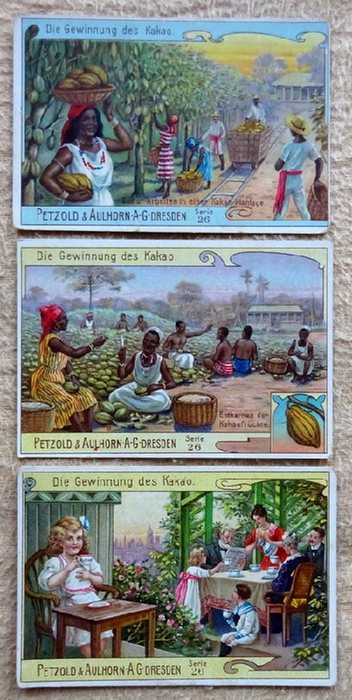  Reklamebild / Kaufmannsbild / Sammelbild "Petzold & Aulhorn, Dresden" (3 Bilder Serie 26: Die Gewinnung des Cacao Nr. 1, 2, 6) 