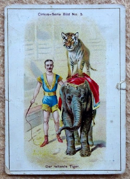   Reklamebild / Kaufmannsbild / Sammelbild "Robert Densow, Dresden Nudel- und Maccaroni-Fabrik" (Bild Reihe: Circus-Serie No. 5 (Der reitende Tiger) 