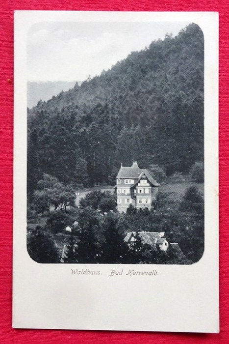   Ansichtskarte AK Herrenalb. Waldhaus 