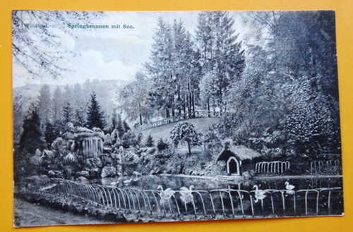   Ansichtskarte AK Wildbad. Springbrunnen mit See 