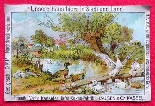   Reklamebild / Kaufmannsbild / Sammelbild Hausen's Kasseler Hafer-Kakao (Unsere Hausthiere in Stadt und Land) 