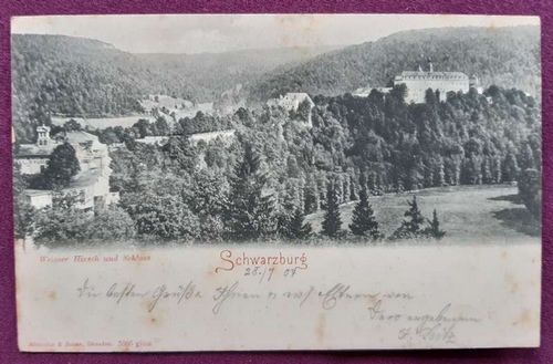   Ansichtskarte AK Schwarzburg (Thüringen). Weisser Hirsch und Schloss (umseitig Stempel Bretten) 