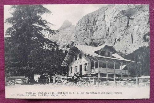   Ansichtskarte AK Waldhaus Stöckalp ob Melchtal 1200 m.ü.M. mit Brüninghaupt und Kesselenwand 