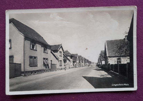   AK Ansichtskarte Lingenfeld - Pfalz (Straße mit Wohnhäusern) 