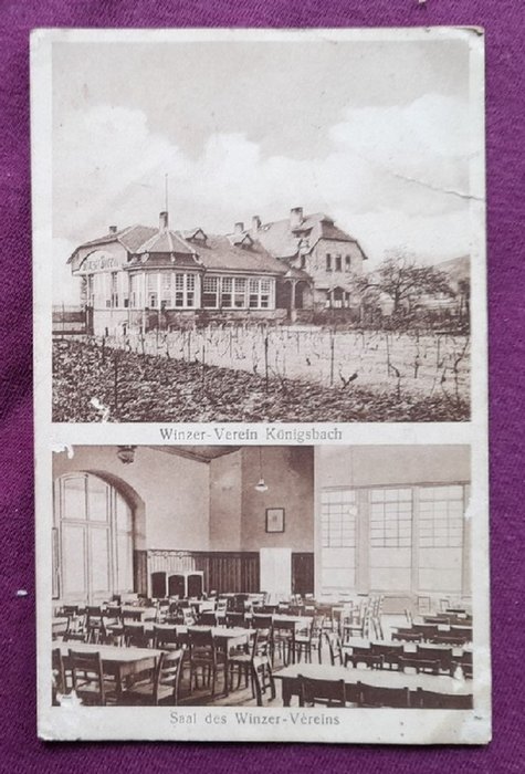   AK Ansichtskarte Königsbach, Pfalz. Winzer-Verein 2 Ansichten (Gebäude und Saal) 