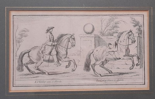 Parrocel, Charles  Orig.Kupferstich. aus "Ecole de Cavalerie" Paris 1733, von Charles Parrocel, gestochen v. J. Andram 