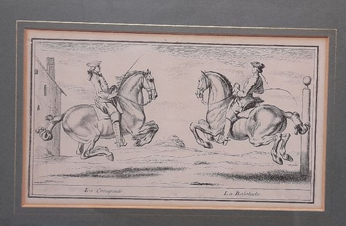 Parrocel, Charles  Orig.Kupferstich. aus "Ecole de Cavalerie" Paris 1733, von Charles Parrocel, gestochen v. J. Andram (Pferde Dressur Croupade...) 