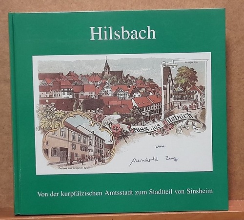 Lurz, Meinhold  Hilsbach (Von der kurpfälzischen Amtsstadt zum Stadtteil von Sinsheim) 