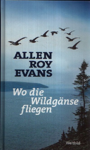 Evans, Allen Roy:  Wind über weißen Wegen 