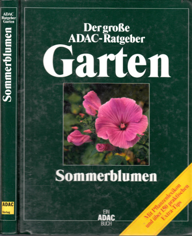 Autorengruppe;  Der große ADAC-Ratgeber Garten - Sommerblumen 