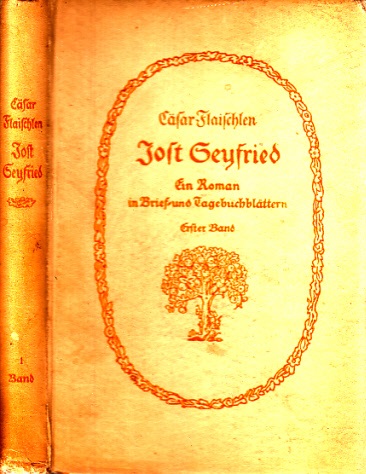 Flaischlen, Cäsar;  Jost Seyfried - Ein Roman in Brief- und Tagebuchblättern - erster Band 