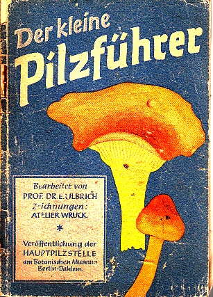 Ulbrich, E.;  Der kleine Pilzführer 