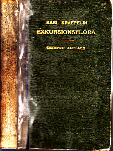 Kraepelin, Karl;  Exkursionsflora 