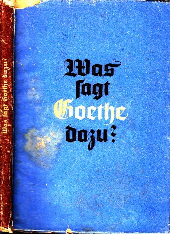Nowottnick, Georg;  Was sagt Goethe dazu? - Ein Lebens- und Weltkompass Porträt Zeichnung nach einem Original von Alfred Gutowski 