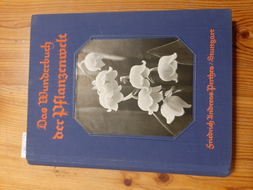 Closson Kenly, Julie (bearbeitet)  Das Wunderbuch der Pflanzenwelt. Die schönste Einführung in das grüne Wunder der Natur 