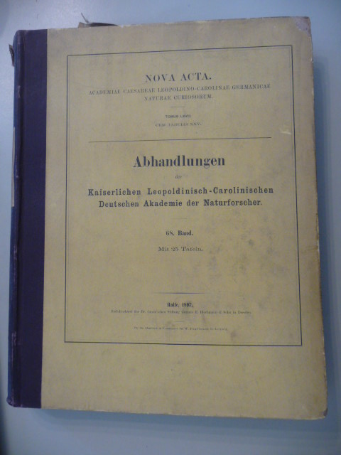 Warburg, O.  Noca Acta - Monographie der Myristicaceen. 