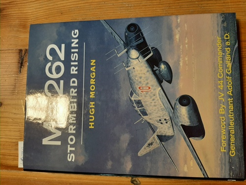 Hugh Morgan  Me 262: Stormbird Rising 