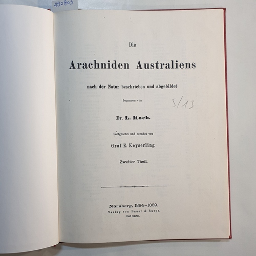 Koch, Ludwig  Die Arachniden Australiens : Nach der Natur beschrieben und abgebildet, Zweiter Teil; Das ist nur eine Kopie des Buches 