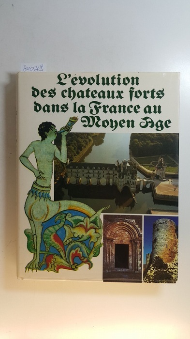 de André Châtelain (Auteur), Dominique Martinez (Photographies)  L'évolution des châteaux forts dans la France du Moyen âge 