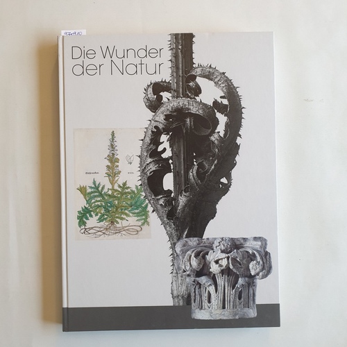 Bernhard Mensch, Peter Pachnicke (Hrsg.)  DIE WUNDER DER NATUR Romanische Kapitelle Alte Pflanzenbücher Blossfeldts Fotografien 