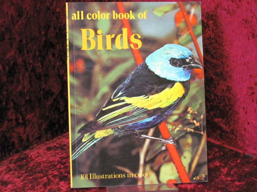 Octopus Books  all color book of birds 