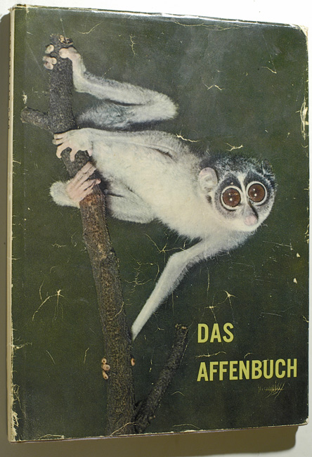 Stanek, V. J.  Das Affenbuch. 