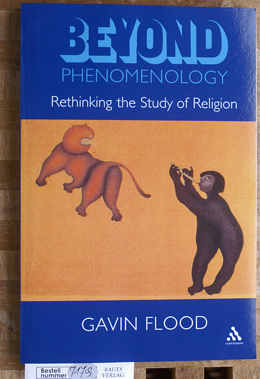Flood, Gavin.  Beyond Phenomenology: Rethinking the Study of Religion (Cassell Religious Studies) 