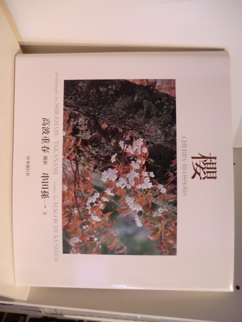 Photographs by Shigeharu Takanami. Essays by Magoichi Kushida  Cherry Blossoms (englisch - japanisch) 