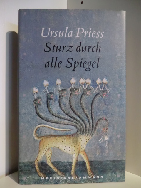 Priess, Ursula  Sturz durch alle Spiegel 