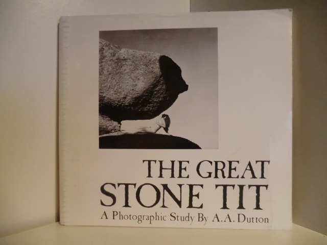 A Photographic Study by A. A. Dutton  The Great Stone Tit 