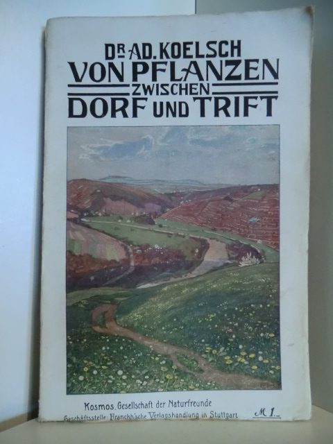 Koelsch, Adolf:  Von Pflanzen zwischen Dorf und Trift : Ein Buch f. Schönheitssucher. 