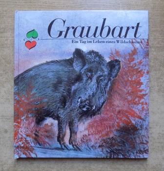 Meynhardt, Heinz  Graubart - Ein Tag im Leben eines Wildschweins. 