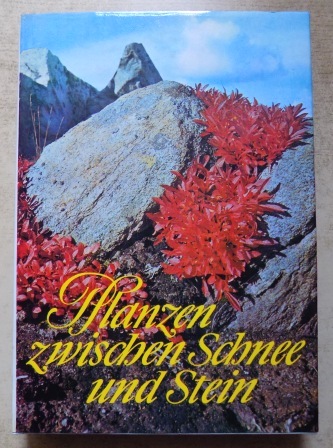 Meusel, Walter und Joachim Hemmerling  Pflanzen zwischen Schnee und Stein - Ein Wegweiser für Wanderer, Gärtner und Botaniker. 