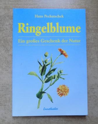 Pechatschek, Hans  Ringelblume - Ein großes Geschenk der Natur. 