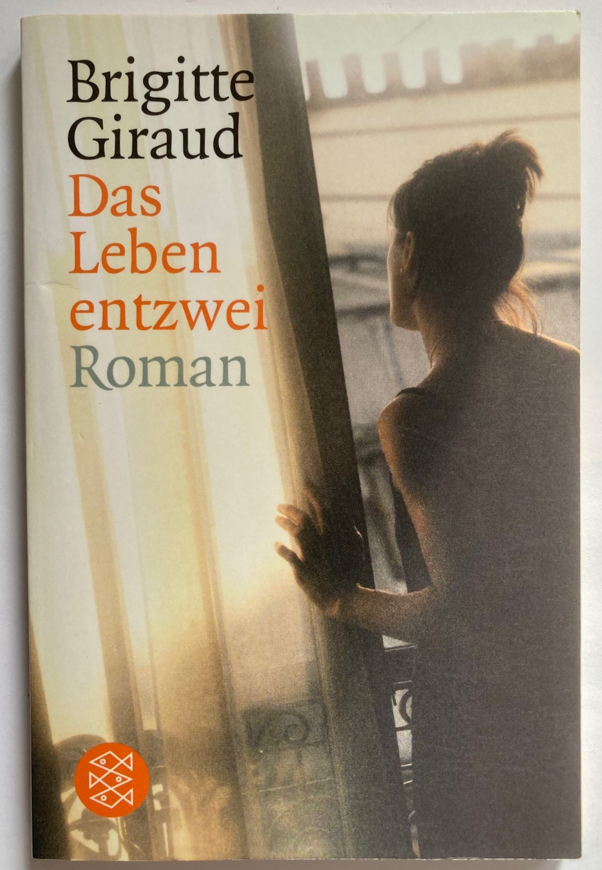 Giraud, Brigitte/Braun, Anne  Das Leben entzwei 