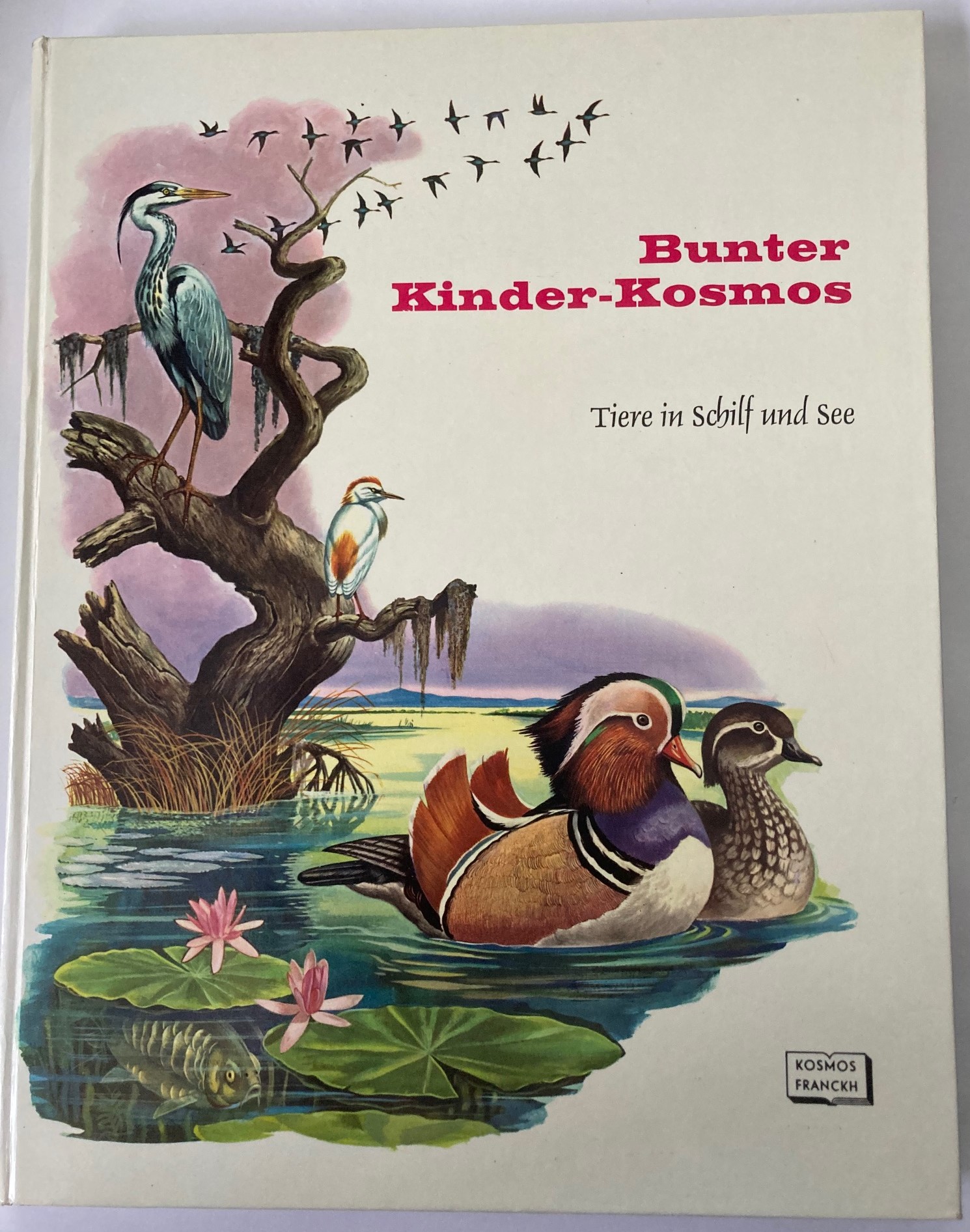 Rinaldo D. D`Ami/Ingeborg Unterreiner (Übersetz.)  Bunter Kinder-Kosmos: Tiere in Schilf und See 
