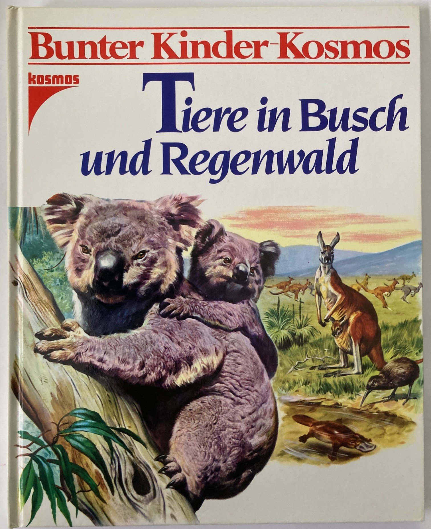 D'Ami, Rinaldo D./Unterreiner, Ingeborg  Bunter Kinder-Kosmos: Tiere in Busch und Regenwald 