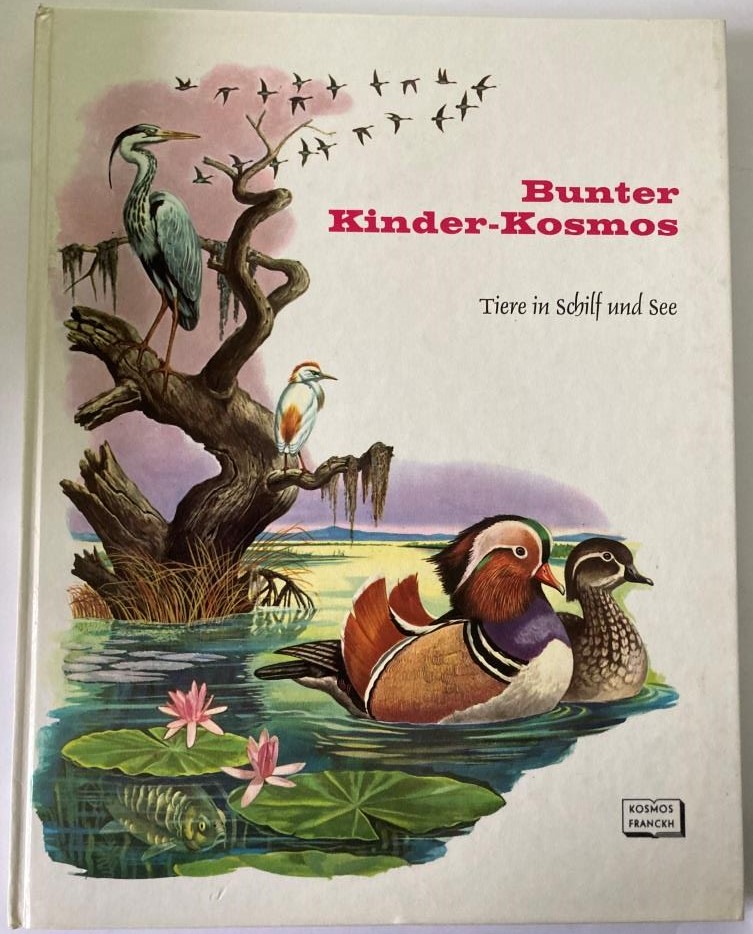 Rinaldo D. D`Ami/Ingeborg Unterreiner (Übersetz.)  Bunter Kinder-Kosmos: Tiere in Schilf und See 