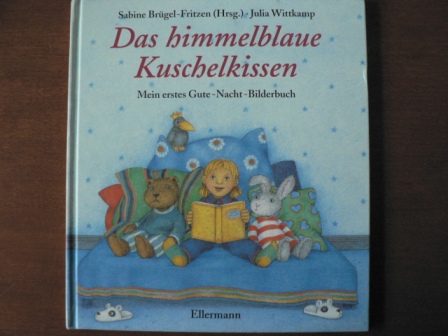 Sabine Brügel-Fritzen/Julia Wittkamp (Illustr.)  Das himmelblaue Kuschelkissen. Mein erstes Gute-Nacht-Bilderbuch 