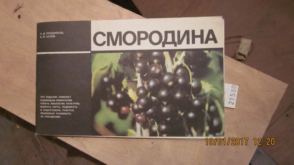 .  Johannisbeeren (russischsprachige Broschüre) 