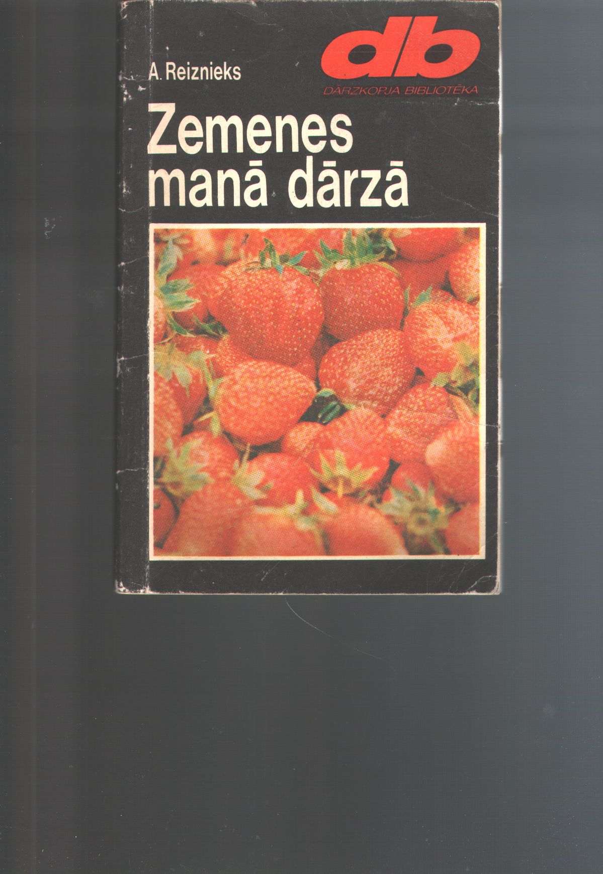 Reiznieks  Zemenes mana darza (Erdbeeren in meinem Garten lettischsprachiges Buch über Erdbeerenanbau) 