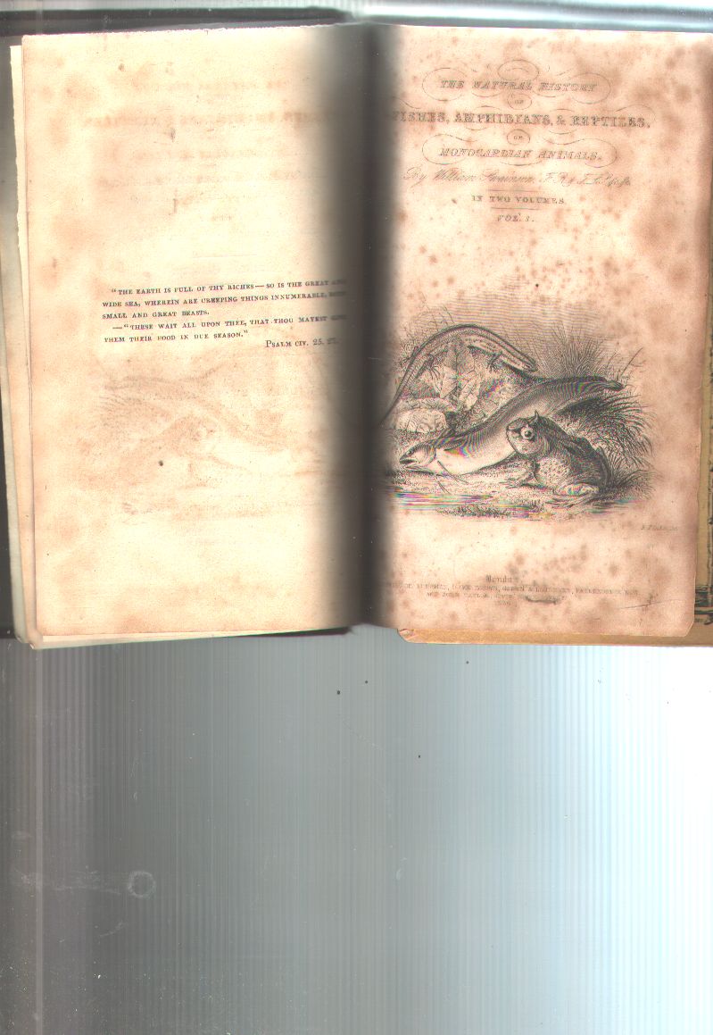 William Swainson  The Natural History and Classsifacation of Fishes, Amphibians, and Reptils  or Monocardian Animals  Vol. 1 