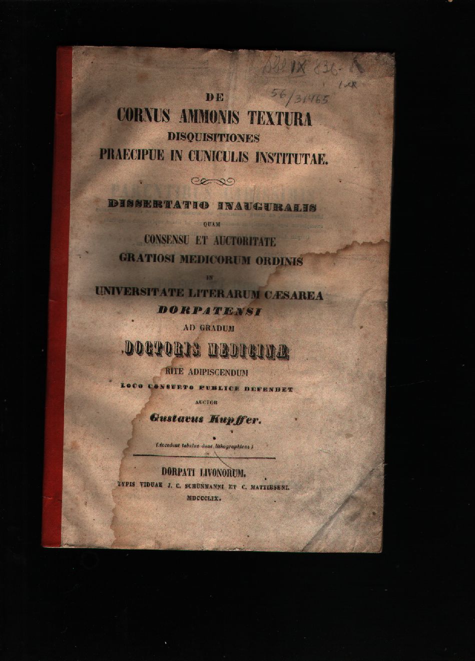 Gustavus Kupffer  De Cornus Ammonis Textura  Disquisitiones Praecipue in Cuniculis Institutae 