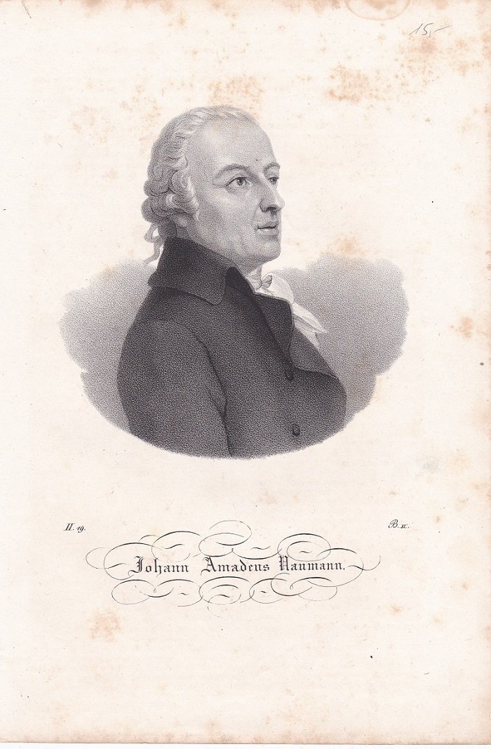   Porträt / Bildnis von Johann Amadeus Naumann (1741-1801). Original-Lithographie. 