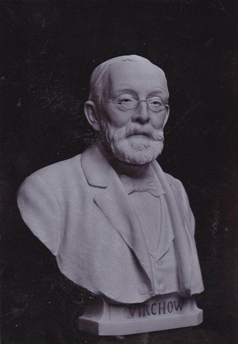 LINKHORST, Franz (Photo-Atelier):  Rudolf Virchow-Büste. Original-Photographie auf Karton. 