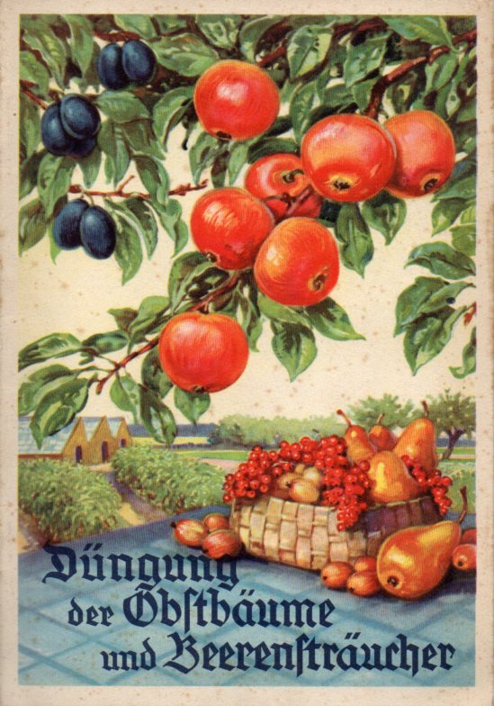 Schmidt,W.  Die Düngung der Obstbäume und Beerensträucher 