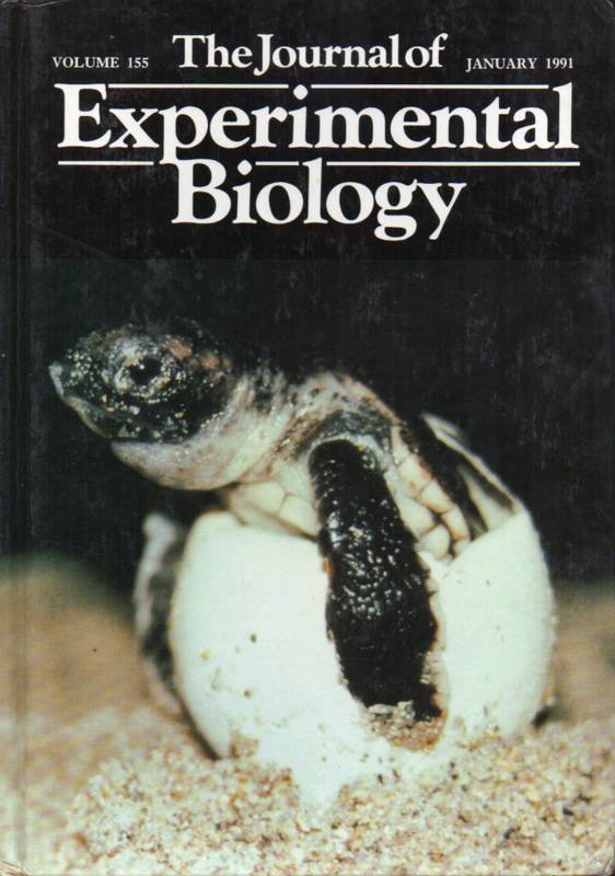The Journal of Experimental Biology  The Journal of Experimental Biology Vol. 155. 1991 