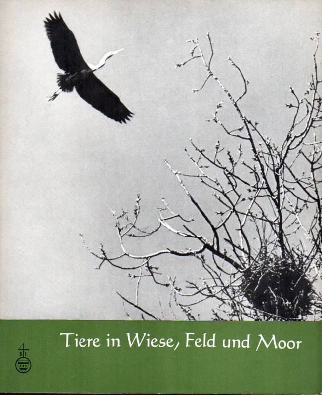Siebold,Werner  Tiere in Wiese,Feld und Moor 